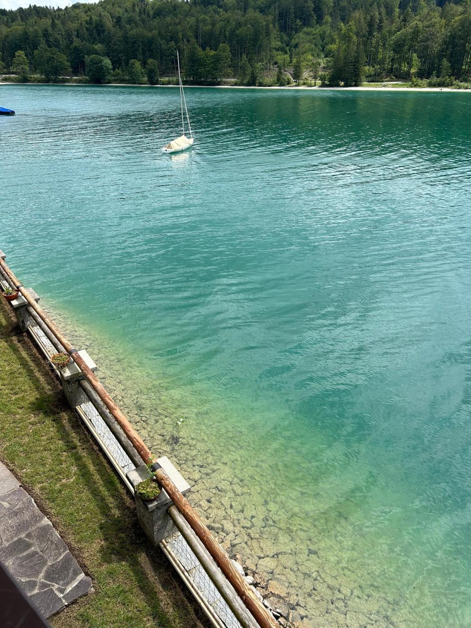 Seerose * Walchensee